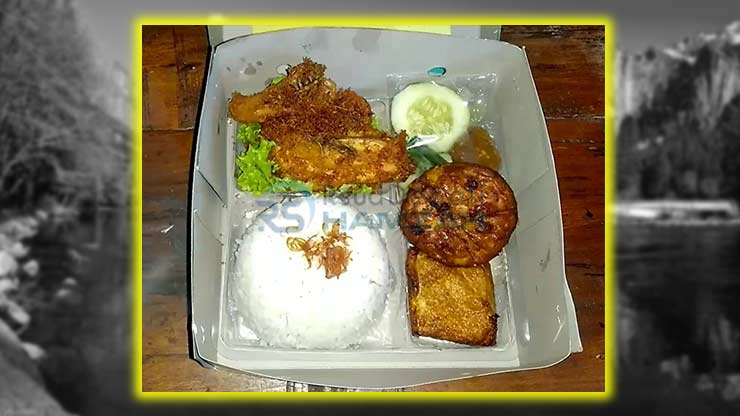 Nasi Kotak 30