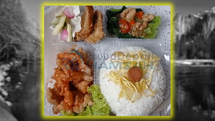 Nasi Kotak 6