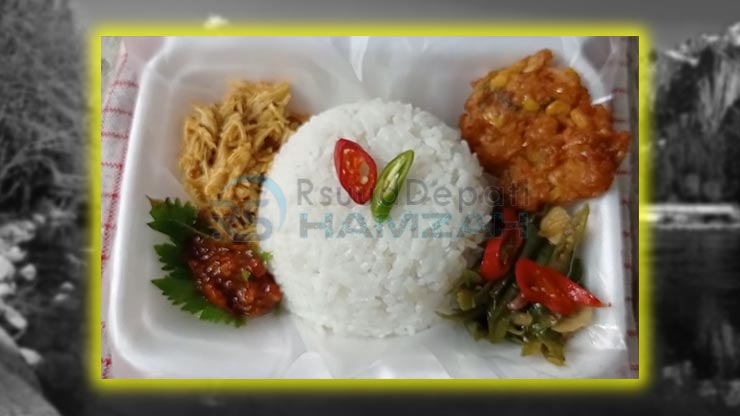 Nasi Kotak 9