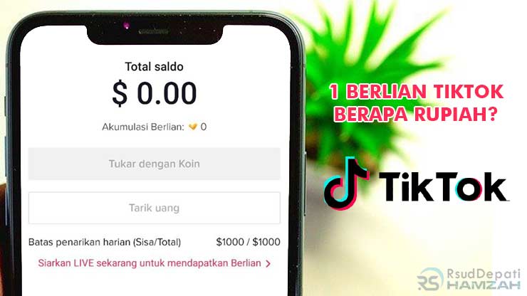 1 Berlian TikTok Berapa Rupiah