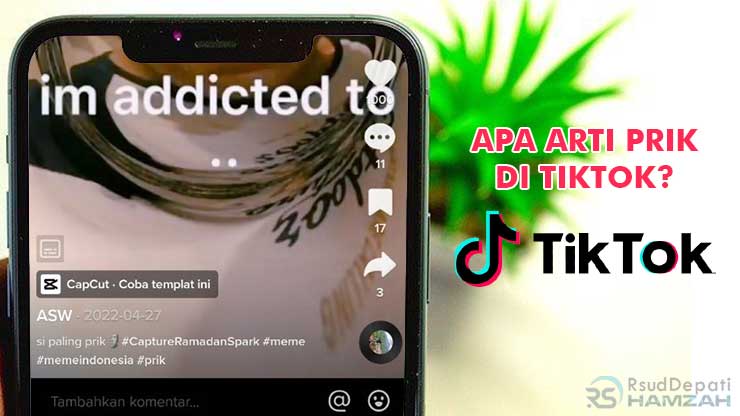 Apa Arti Prik di TikTok