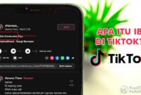 Apa Itu IB di TikTok