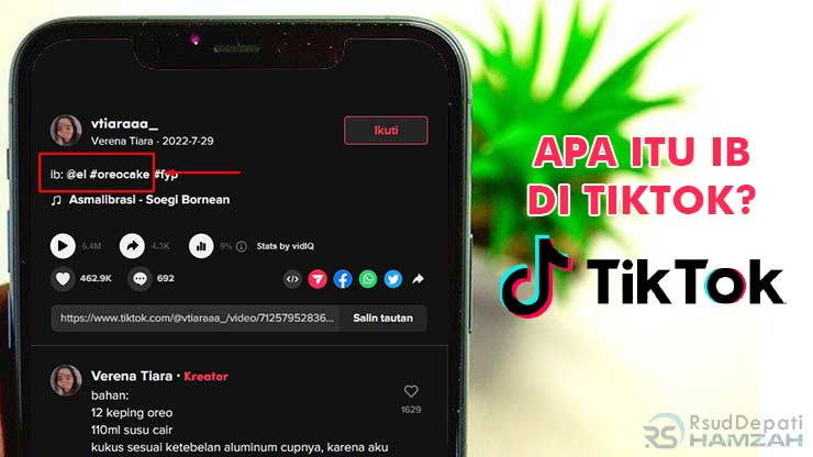 Apa Itu IB di TikTok