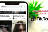 Apa Itu Moots di TikTok