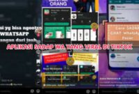 Aplikasi Sadap WA yang Viral di TikTok