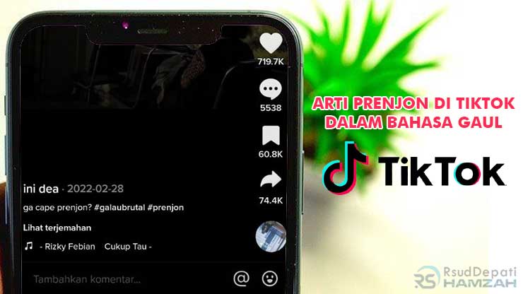 Arti Prenjon di TikTok Dalam Bahasa Gaul