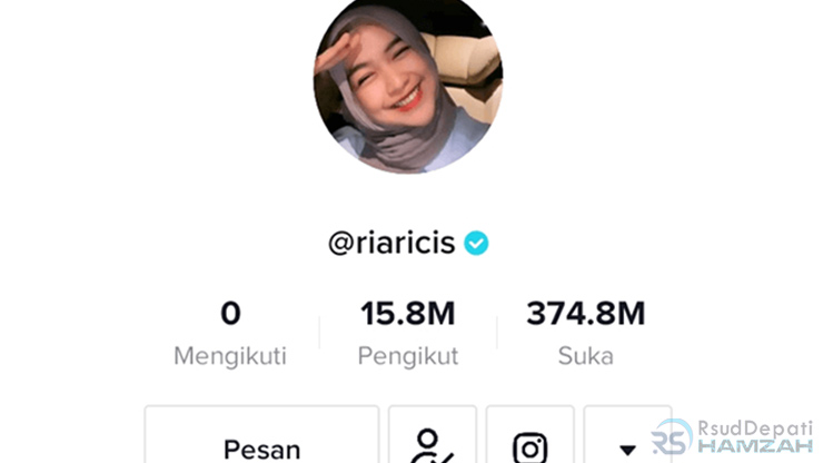 Cara Melihat Akun Tiktok yang Di Private Tanpa Follow