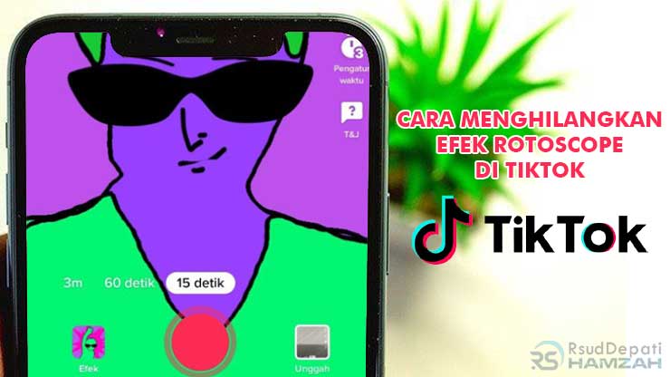 Cara Menghilangkan Efek Rotoscope di TikTok