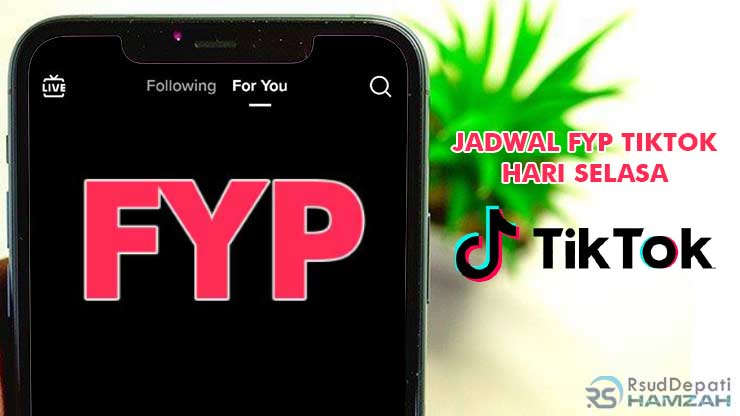 Jadwal FYP TikTok Hari Selasa