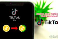 Kenapa Koin TikTok Lite Tidak Berputar