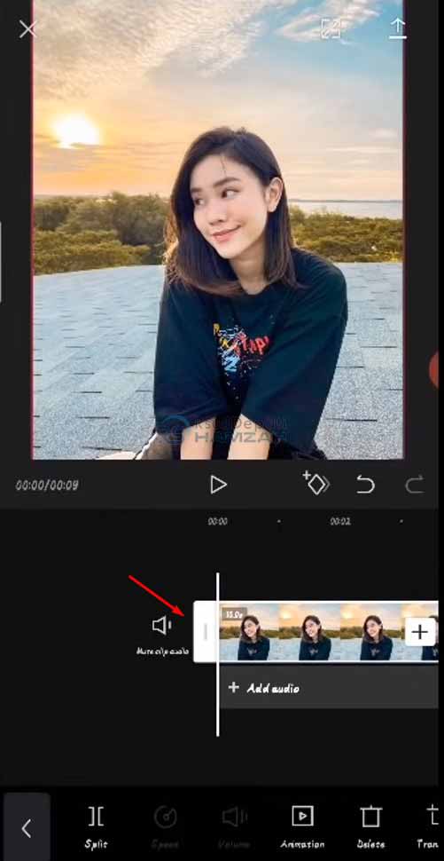 cara mengubah foto menjadi anime di capcut