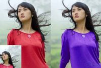 aplikasi edit warna baju online