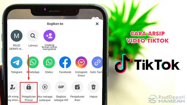 Cara Arsip Video TikTok