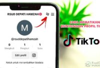 Cara Mematikan Kunjungan Profil TikTok