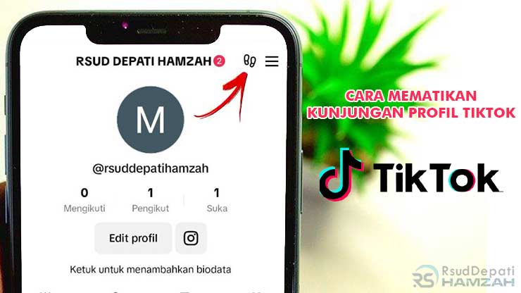 Cara Mematikan Kunjungan Profil TikTok