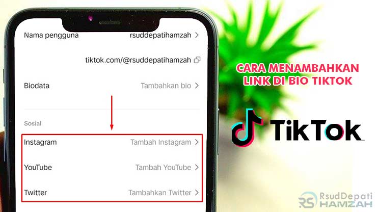 Cara Menambahkan Link di Bio TikTok