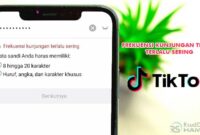 Frekuensi Kunjungan Terlalu Sering TikTok