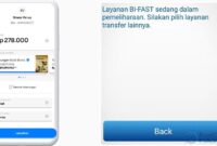 Kenapa BI Fast Mandiri Tidak Bisa Digunakan