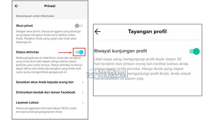 Matikan Fitur Kunjungan Profil TikTok