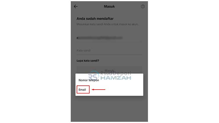 Pilih Opsi Email