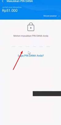 masukan pin dana