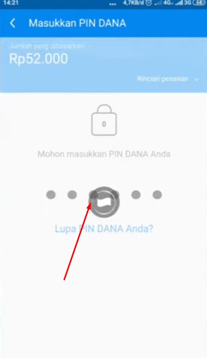 pin dana 1