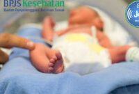 Cara Daftar Bayi Baru Lahir di Mobile JKN, Apa Saja Syaratnya