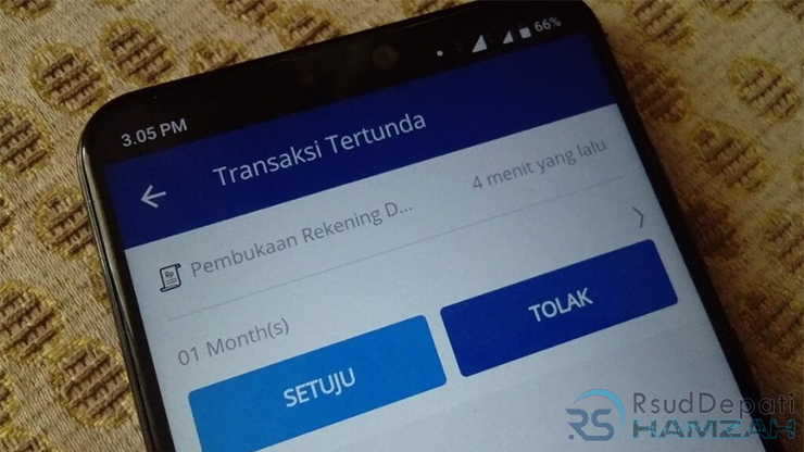 Pembayaran Tertunda Livin Mandiri