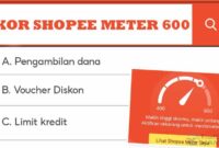 Skor Shopee Meter 600 Ini Penjelasannya
