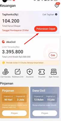 pelunasan cepat