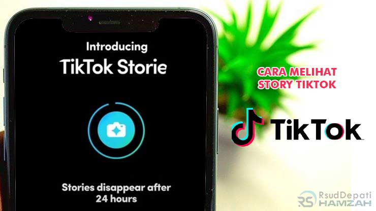 Cara Melihat Story TikTok