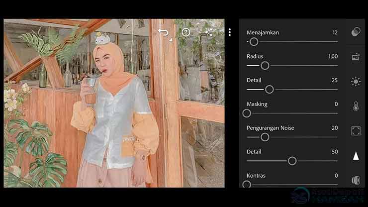 Detail Lightroom Nabilazirus