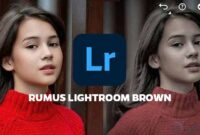 Rumus Lightroom Brown