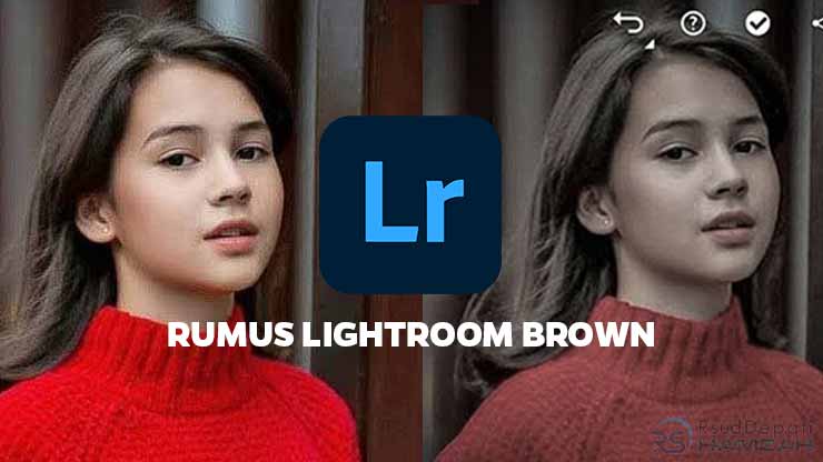 Rumus Lightroom Brown