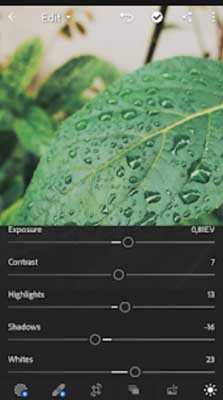 plih menu  mengubah warna daun di lightroom android