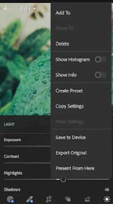 simpan foto daun di lightroom