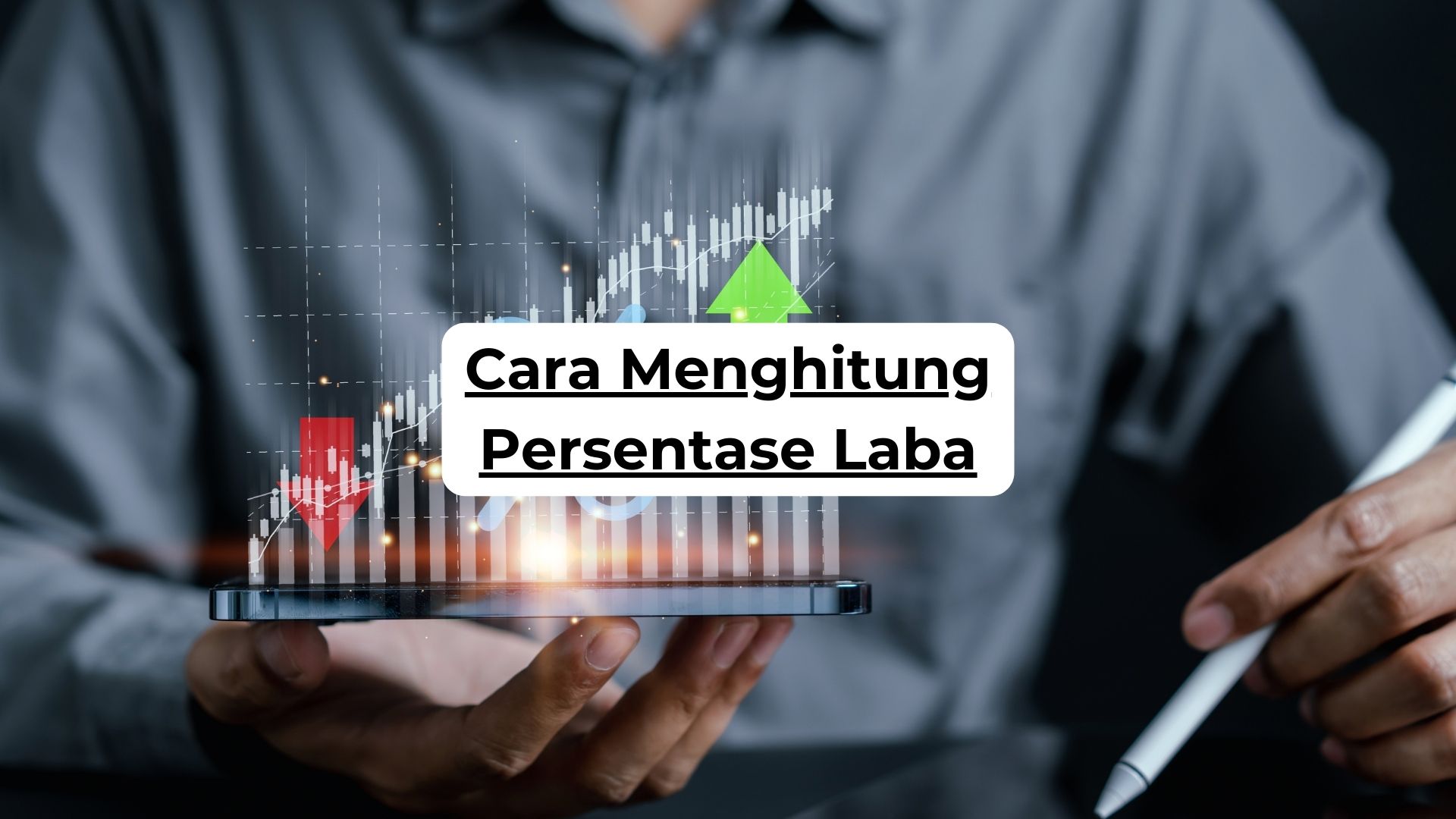 Cara Menghitung Persentase Laba