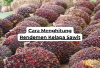 Cara Menghitung Rendemen Kelapa Sawit