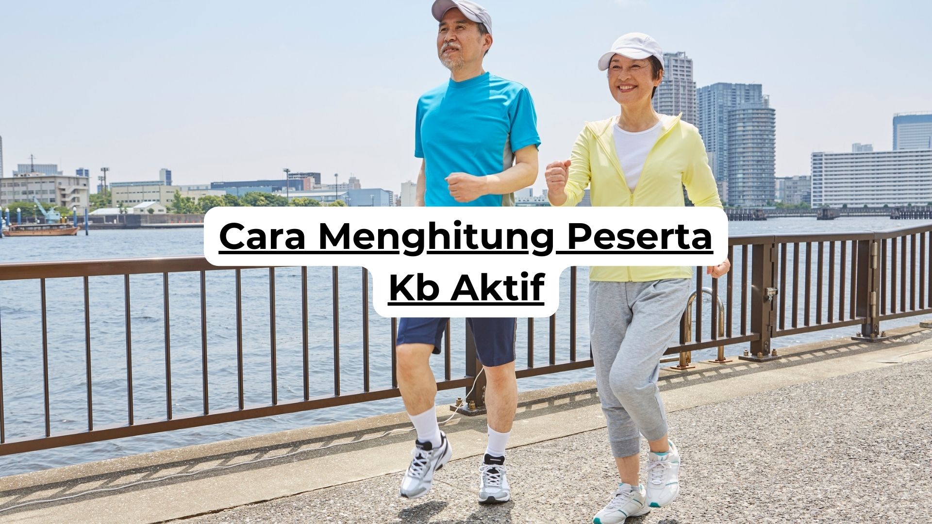 Cara Menghitung Peserta Kb Aktif