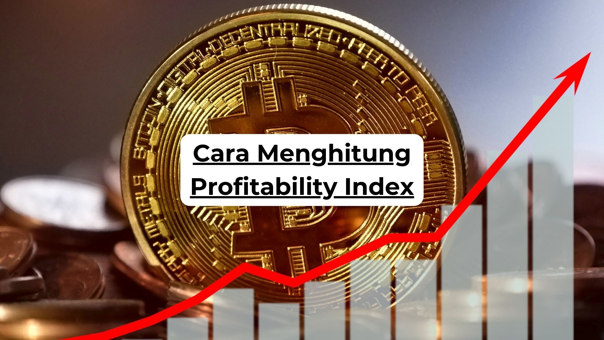 Cara Menghitung Profitability Index