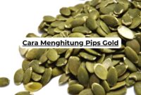 Cara Menghitung Pips Gold