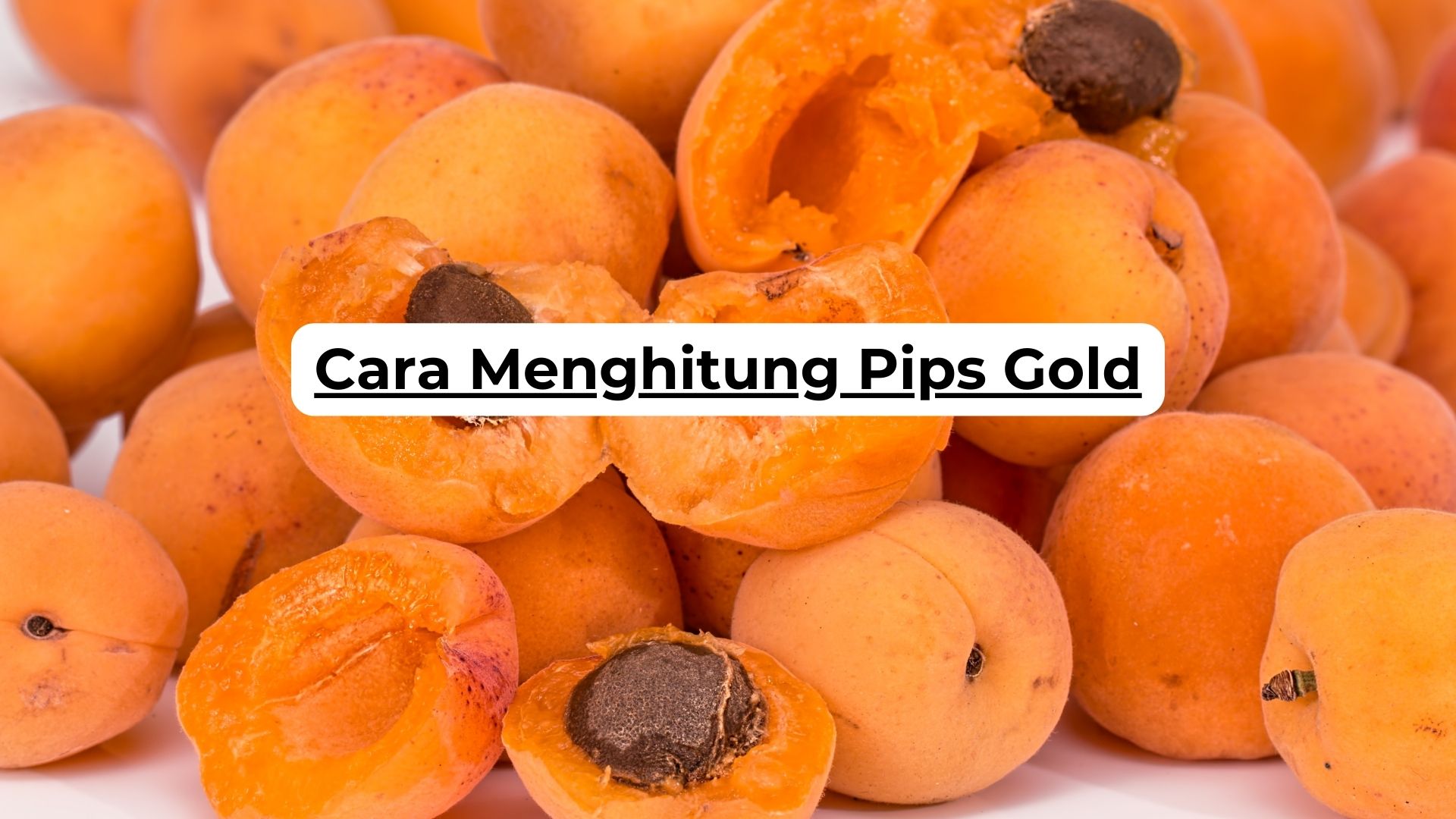 Cara Menghitung Pips Gold