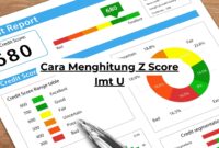 Cara Menghitung Z Score Imt U