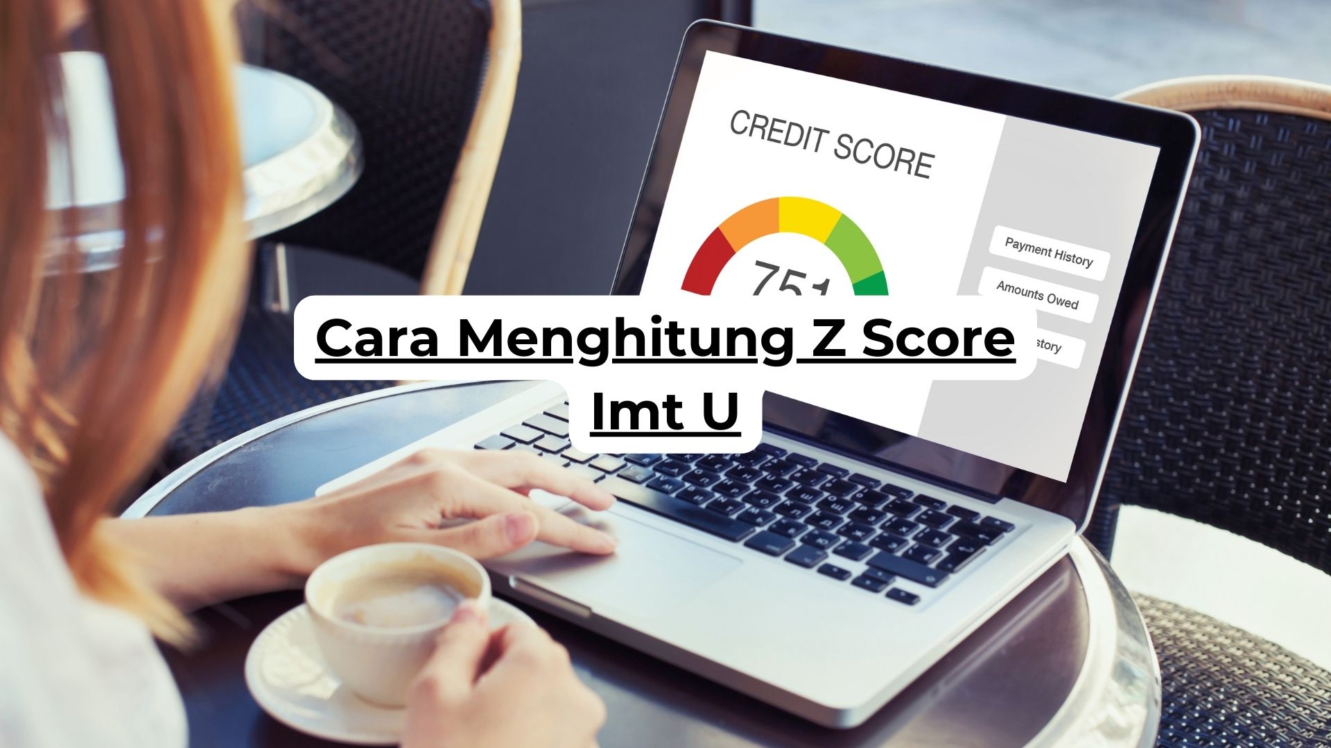 Cara Menghitung Z Score Imt U