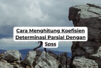 Cara Menghitung Koefisien Determinasi Parsial Dengan Spss