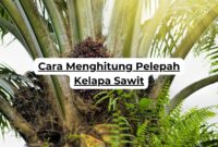 Cara Menghitung Pelepah Kelapa Sawit