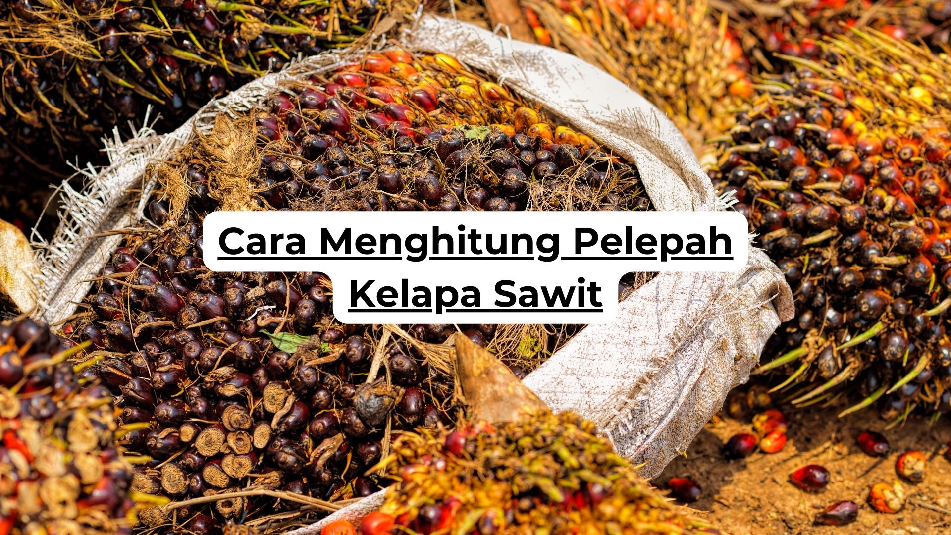 Cara Menghitung Pelepah Kelapa Sawit