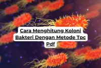 Cara Menghitung Koloni Bakteri Dengan Metode Tpc Pdf