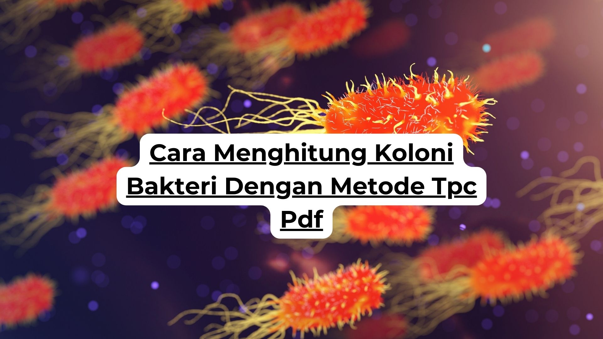 Cara Menghitung Koloni Bakteri Dengan Metode Tpc Pdf