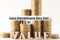 Cara Menghitung Npv Dan Irr